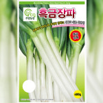 파씨앗종자 아시아흑금장파 400g : 코코주말농장