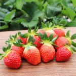 올웨이즈블루 논산 설향딸기 한입과 350g(20구) : 올웨이즈블루닷컴