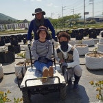 국가대표농장 블루베리 농부의 당일수확 생블루베리 : 블루베리1번지