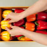 싱싱한 국산 파프리카 노랑 빨강 2kg : 솔직한식탁