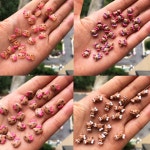 블랙 스킨 네일 액세서리 송진 DIY 참 용품 아트 개 50 개인 G0213 : 하이플랜2