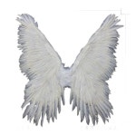 빅사이즈 대형 천사 요정 코스프레 코스튬 날개 소품 의상 : 픽마크