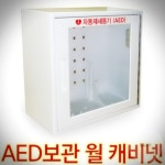 월케비넷 벽걸이형 심장충격기 자동 보관함 심장 보관 제세동기 : 다온240