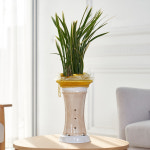 채홍 기본형 동양란 동양난 서양란 서양난 개업화분 사무실 승진선물 축하선물 꽃배달 : 금메달플라워