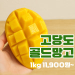 [골드망고] 부드럽고 달콤한 태국 남독마이 1kg 5kg (푸드온프레쉬) : 푸드온프레쉬