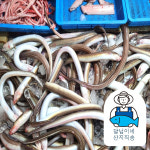 [달님이네]통영 자연산 바다장어 특대 손질 소스포함 한정판매 : 달님이네 산지직송