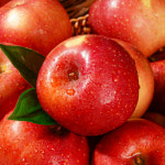 엄지척농산물 경북 햇 빨간사과 가정용 : 영태푸드