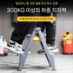 세차 발판 접이식 휴대용 받침 옐로우 다용도 사다리 사용 의자 사다리의자 스텝 계단 간이 2단 접이식 사다리(빨간색) : 온실마켓