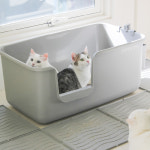캣츠태그 BESPOKE 묘래박스 롱 고양이 화장실 대형 : 캣츠태그