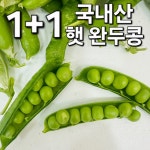 1+1 국내산 햇 완두콩 1kg 2kg 3kg 콩 잡곡 햇완두콩 : The 바른