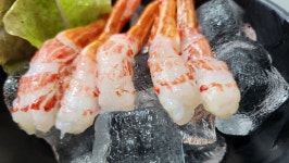 [선주직송]독도새우(급냉) 꽃새우 닭새우 500g : 포항청년수산