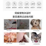 강아지 드라이기 건조기 그루밍 케어 고양이 반려동물 중형 : 포유어스 쇼핑몰