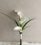 카라조화부케 셀프웨딩 촬영부케 실크플라워부케 브라이덜샤워 : 이음포르테