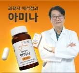배석철 아미나 500mg 고용량 비타민B3 나이아신아마이드 니코틴산아미드 : 배석철의 아미나