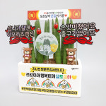 애견유치원 개업식화분 축하 선물하기좋은 스투키 메세지화분 커스텀제작 황군작업실 금전수 : 띵팟