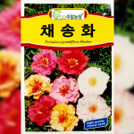 꽃씨앗 채송화 5000립 : 코코주말농장