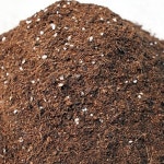 배양토 블루베리흙 블루베리상토 원예용배양토 분갈이 화분 : 왕고