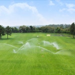 골프여행 대한민국 제주도 라온cc 골프장 티 예약 : 유토피아 로스트볼