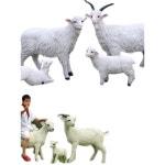 부르고뉴 마당 포토존 정원장 형 조항 야외 양조형물 오브제 목장 1 가족 조항 : 스마일버드22