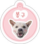 크랩독 강아지 인식표 + 등록번호 포토마그넷 패키지 / 맞춤제작 귀여운 반려동물 이름표 : 크랩 스토어