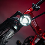 타이탄700 48V 13ah 접이식 전기자전거 PAS 강아지 펫바이크 배달 : PM바이크