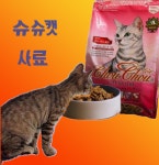 국산 프리미엄 전연령묘 닭고기 슈슈캣 사료 5kg+5kg : BMI마트