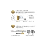 루셀로 치약 페이스트 화이트 100g (2개) : coco ciel