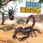 [DS-LB] 모형 꽃게 게피규어 넛크랩 피규어 리얼 메가하우스 감응충 : 레드썬6446