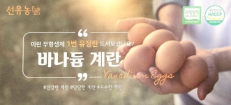 자연방사 구운계란 바나듐 유정란 2번 20구, 1개 : 선유농위더스팜