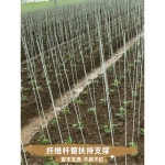 FRP 아치형 텃밭 터널 온실 파이프 두께 굵기 6mm 2m 100개 미니 창고 사이즈 커스텀 : 담아몰1