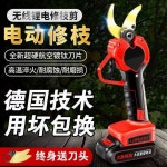 충전 전동 전지가위 가지치기 나무 세트 배터리2개 무선 전정 5셀 업그레이드 5.0cm+듀얼배터리+날2개 증정 : 재민이네5