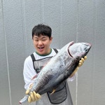 동해안 국산 생물 참다랑어 통참다랑어 통참치 10kg 급 참치회 : 태초농수산