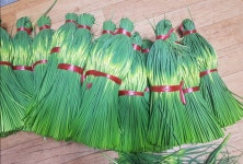 산지직송 국내산 남해 햇 마늘쫑 마늘종 1kg : 춘화네시골농장