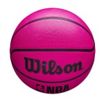 윌슨 NBA DRV 야외 농구 - 사이즈 3, 사이즈 5, 사이즈 6, 사이즈 : 뮤티드원