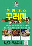 큰애기농장 야채꾸러미 5회정기배송 : 큰애기농장