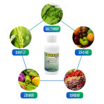예봉 씨포스엠지 500ml 100% 친환경 발근촉진 액체비료 면역강화 원예용품 : 주식회사 예봉바이오