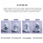 장식 물고기 용  샌미 정자  사도 : StarBox