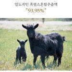 토종흑염소진액 토종흑염소 국내산 염소즙효능 흙염소 30포 : 포원즈헬스