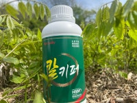 프리미엄 칼키퍼(1리터 5개) - 도장억제 화분화촉진 저장성증대 : 무농이