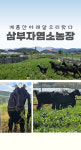 삼부자건강원 자연방목 흑염소진액 100ml 50포 : 삼부자건강원