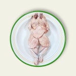 그린펫푸드 개구리 90g 동결건조 : 그린 펫푸드