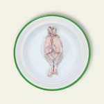 그린펫푸드 미니 개구리다리 60g 동결건조 : 그린 펫푸드