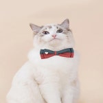 1pc-Cat 2색 조절 가능한 나비 넥타이 애완 동물 목걸이 애완 동물 용품 : OverseasBulk