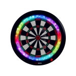GRAN BOARD 그란보드 다트 게임 2컬러 다트판 그린/그린 DARTS 그린 GB3S 기본 패키지 : 바이글