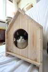 편백나무 강아지/고양이 집 (펫하우스) : LIZAC
