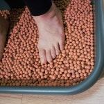 맨발걷기 황토볼 4.5kg 발지압 발지압기 지압발판 매트 발바닥마사지 편백나무 : 정직한편백