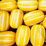 성주 참외 꿀 참외 가정용 못난이 참외 6kg, 1개 : 땡큐네이처몰