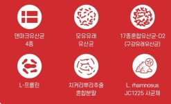 구강유산균 덴마크유산균 모유유산균 프로바이오틱스 : 리치웰 헬스