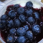 GAP 하동 햇블루베리 생과 1kg 농가직배송 당도 가득 : 공드림농장