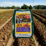 고구마 전용 비료 밑거름 감자 복합비료 거름 퇴비 2.2kg : 리아나몰